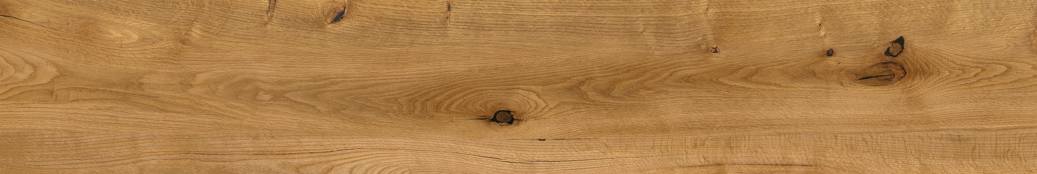 Oak Devonport | Clon Digital Tile Catalog