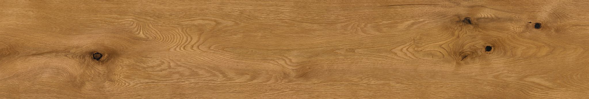 Oak Devonport | Clon Digital Tile Catalog