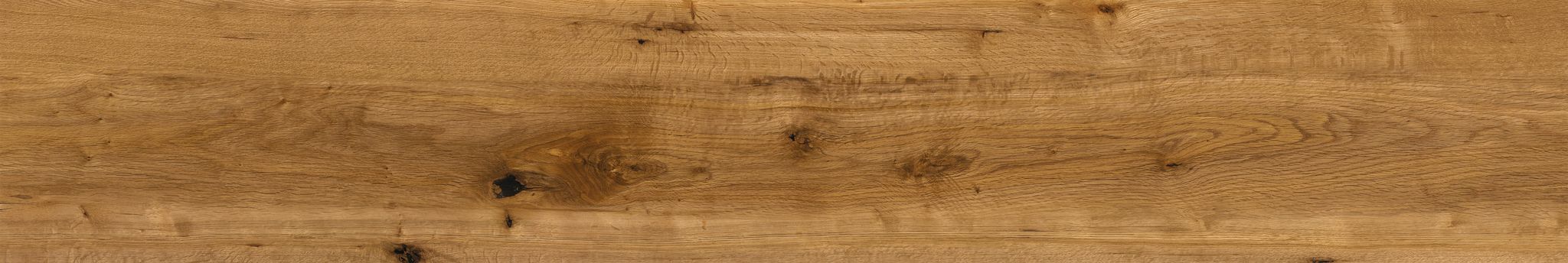 Oak Devonport | Clon Digital Tile Catalog