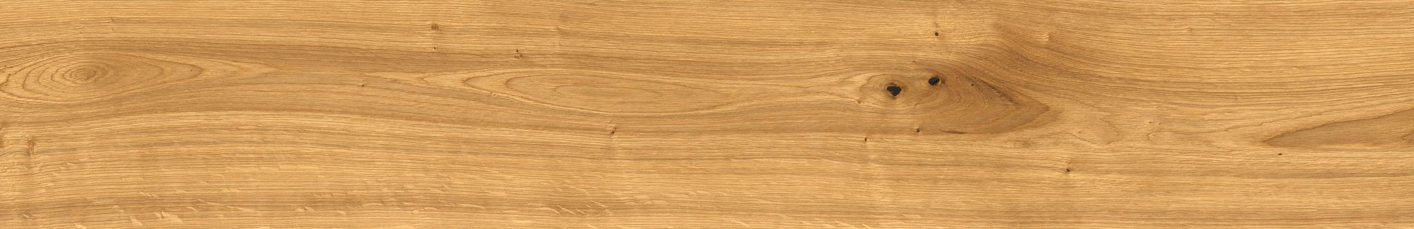 Oak Devonport | Clon Digital Tile Catalog