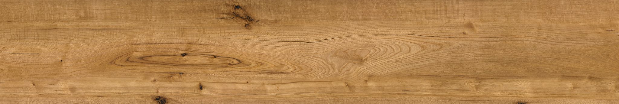 Oak Devonport | Clon Digital Tile Catalog