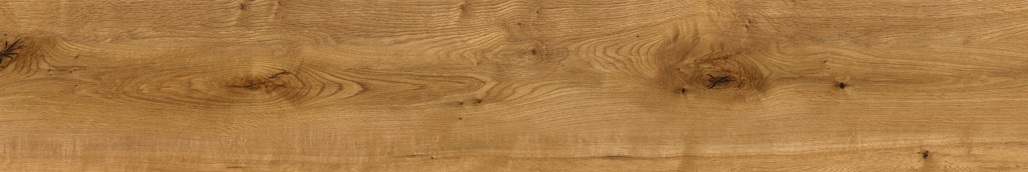 Oak Devonport | Clon Digital Tile Catalog