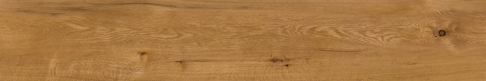 Oak Devonport | Clon Digital Tile Catalog