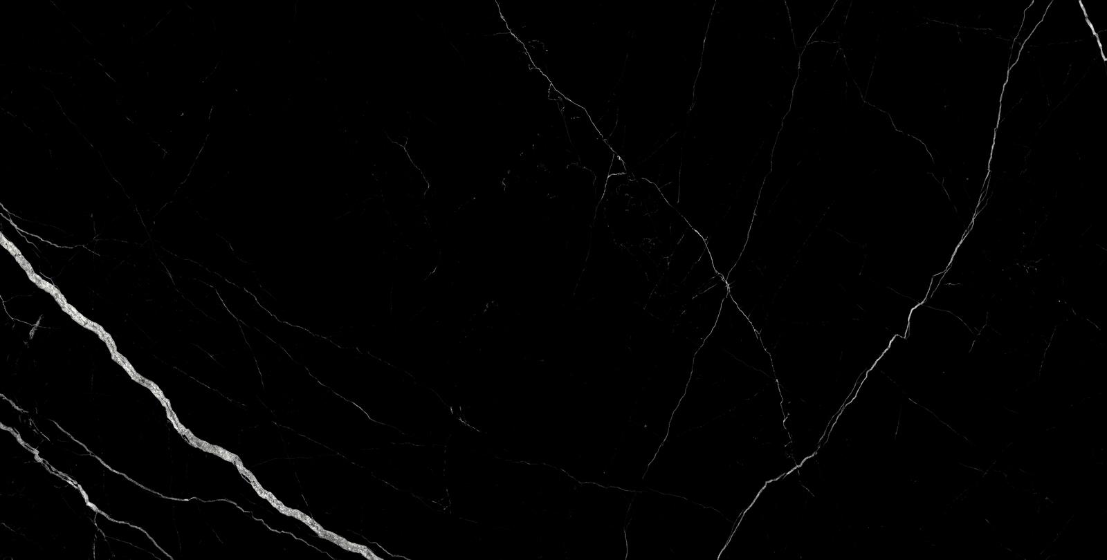 Treasure Midnight Nero 24x48 Polished | Clon Digital Tile Catalog