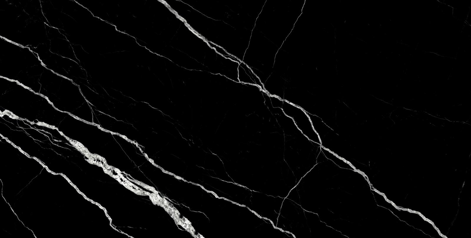 Treasure Midnight Nero 24x48 Polished | Clon Digital Tile Catalog