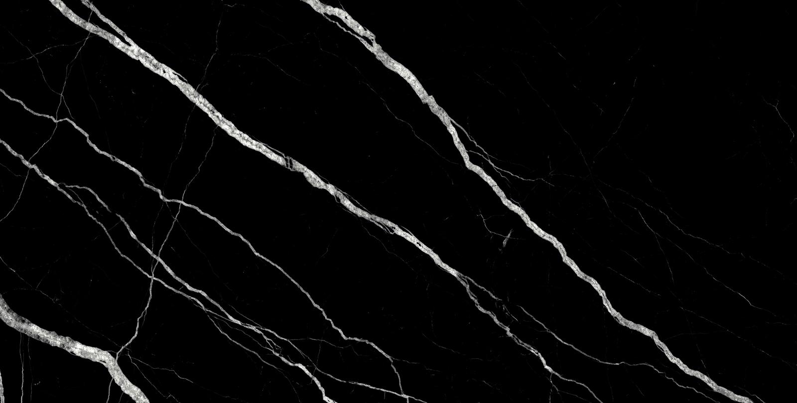 Treasure Midnight Nero 24x48 Polished | Clon Digital Tile Catalog