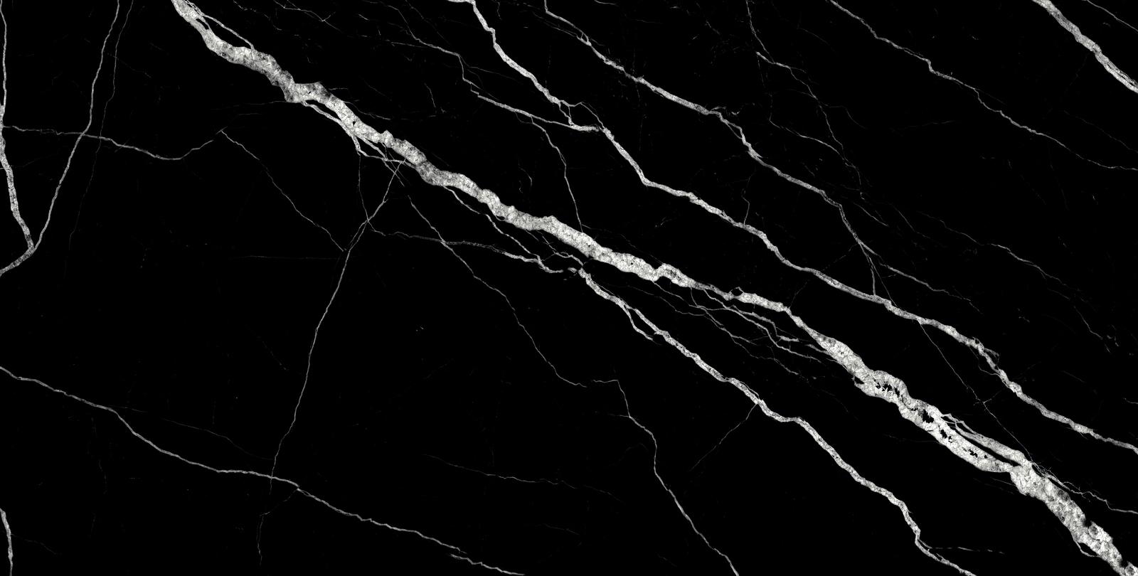 Treasure Midnight Nero 24x48 Polished | Clon Digital Tile Catalog