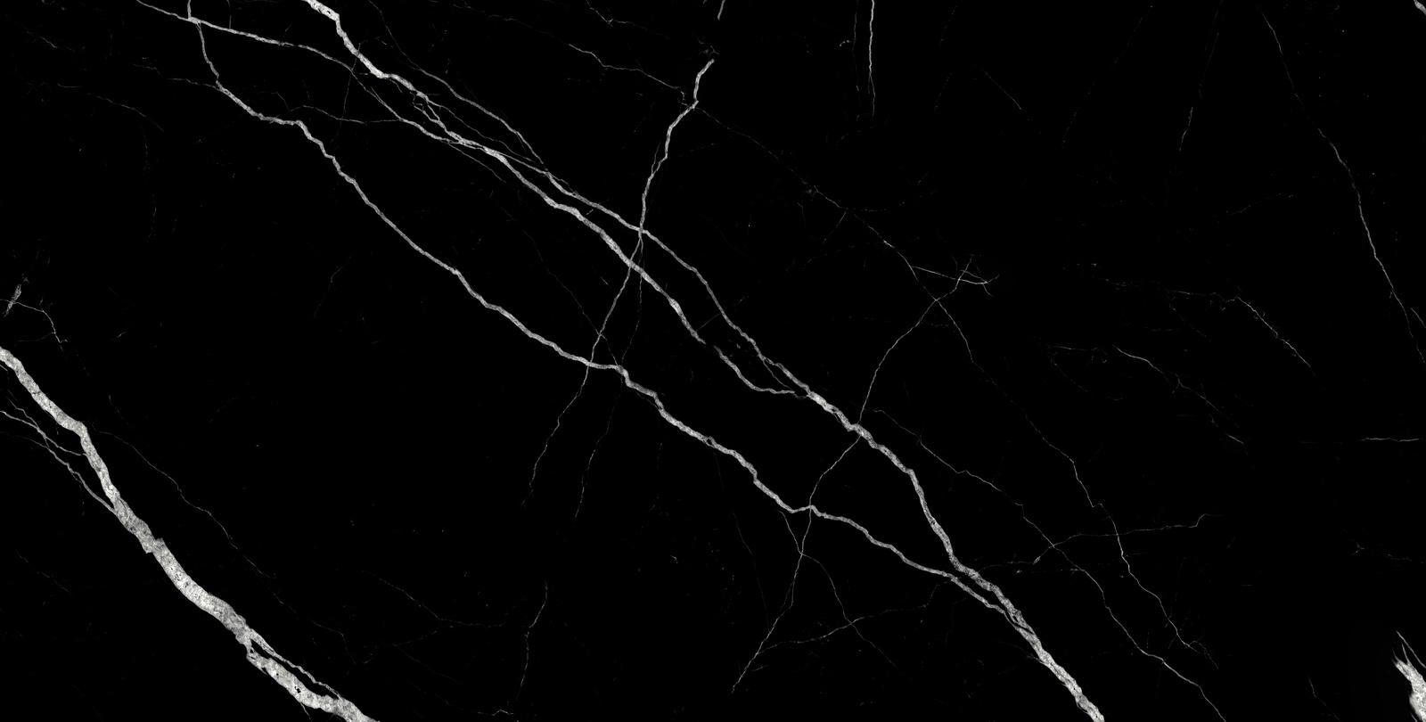 Treasure Midnight Nero 24x48 Polished | Clon Digital Tile Catalog