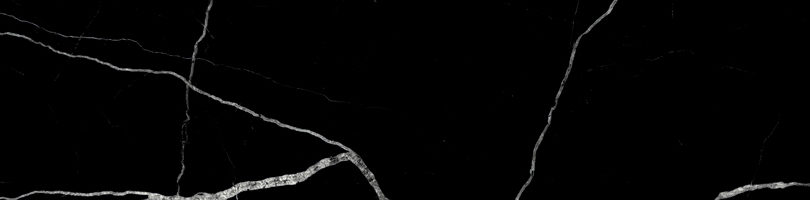 Treasure Midnight Nero 3x12 Polished Bullnose | Clon Digital Tile Catalog