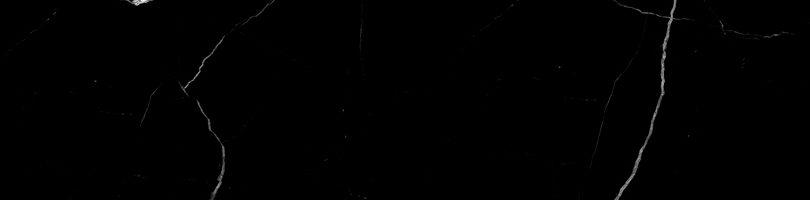 Treasure Midnight Nero 3x12 Polished Bullnose | Clon Digital Tile Catalog