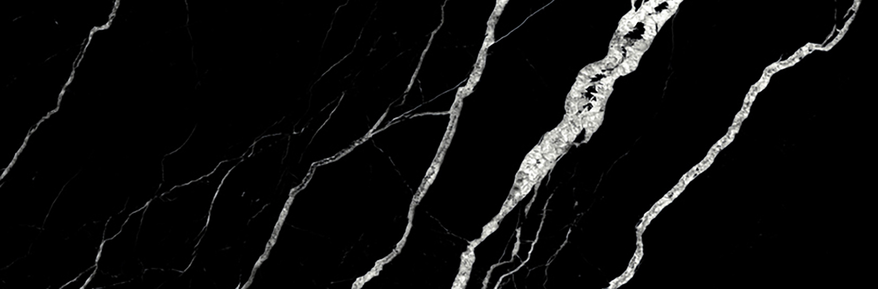 Treasure Midnight Nero 4x12 Polished | Clon Digital Tile Catalog