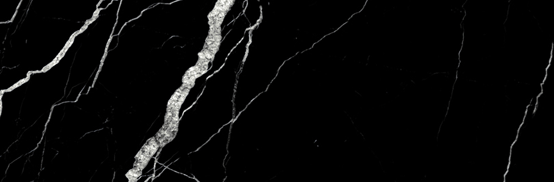 Treasure Midnight Nero 4x12 Polished | Clon Digital Tile Catalog