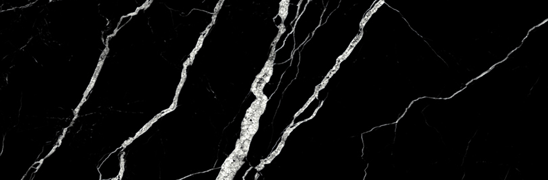 Treasure Midnight Nero 4x12 Polished | Clon Digital Tile Catalog