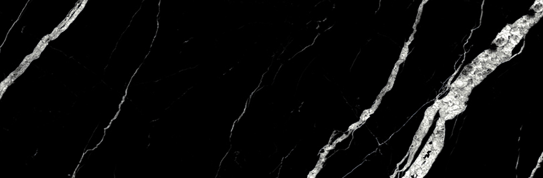 Treasure Midnight Nero 4x12 Polished | Clon Digital Tile Catalog