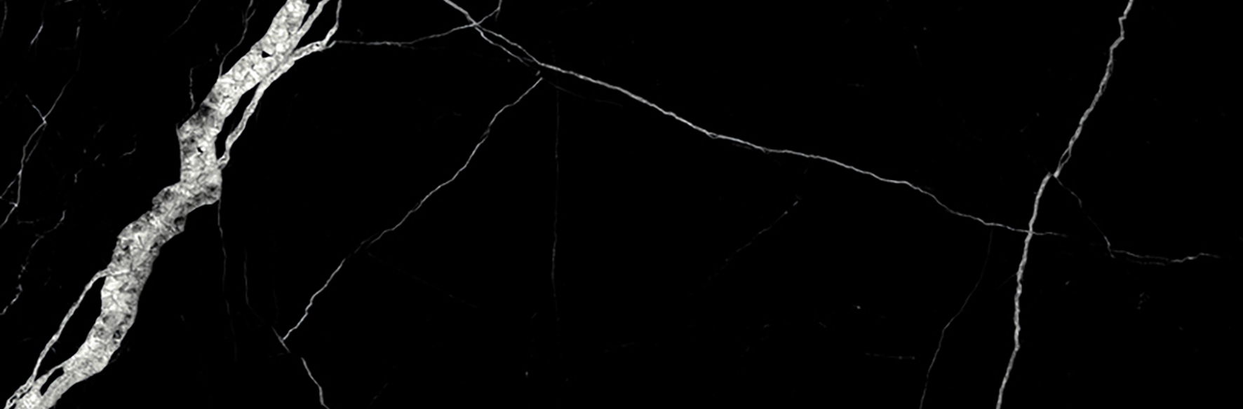 Treasure Midnight Nero 4x12 Polished | Clon Digital Tile Catalog