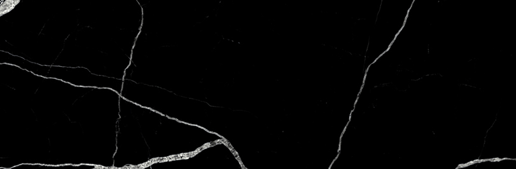 Treasure Midnight Nero 4x12 Polished | Clon Digital Tile Catalog