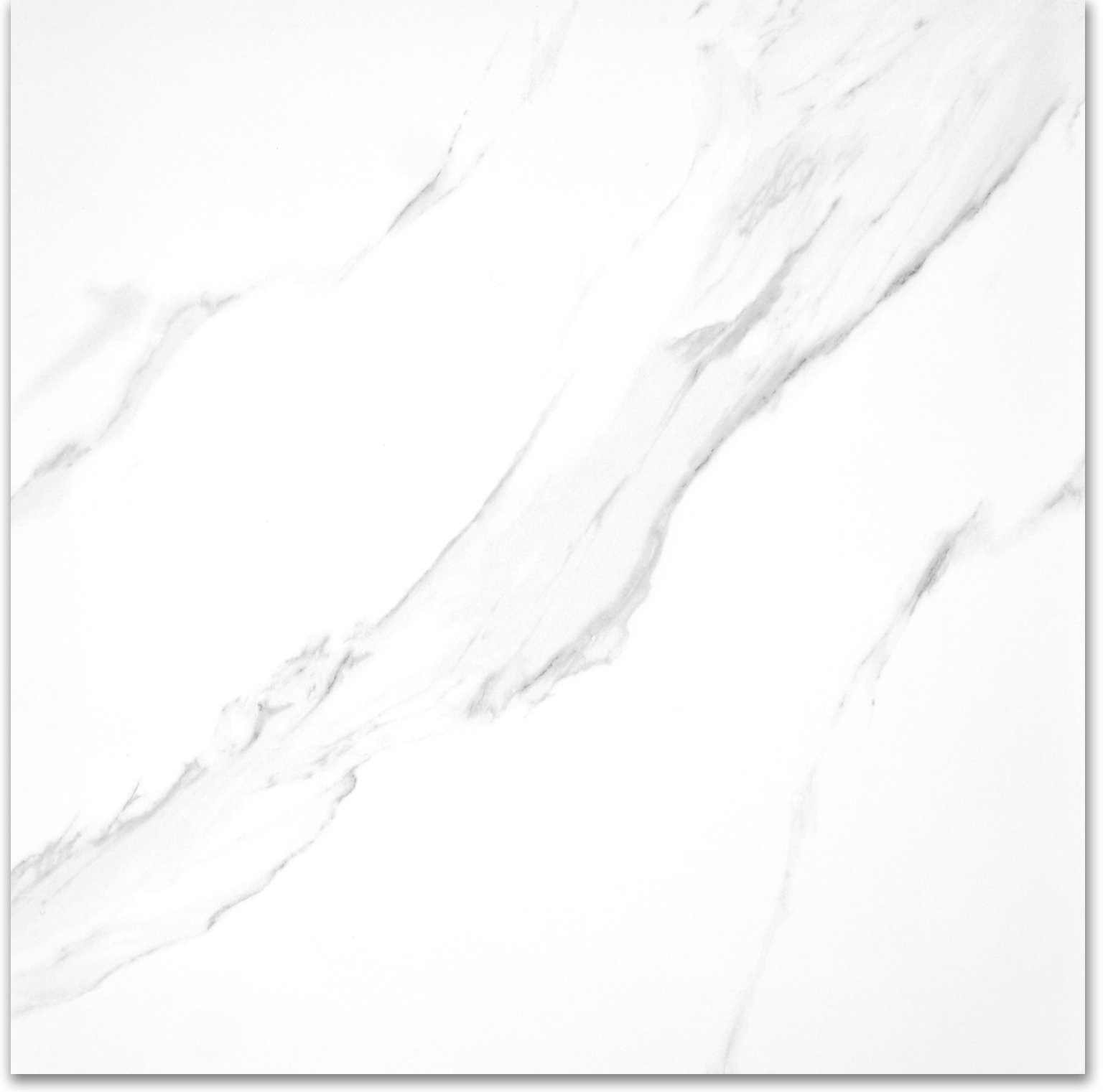Treasure Statuario 24x24 Polished | Clon Digital Tile Catalog