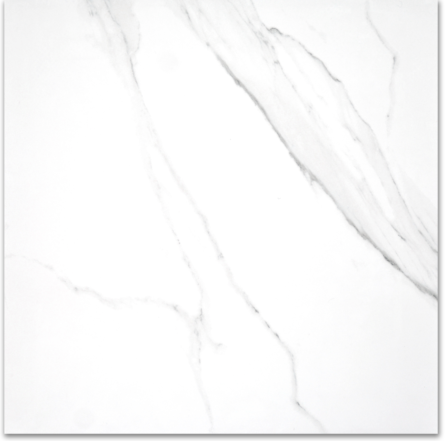 Treasure Statuario 24x24 Polished | Clon Digital Tile Catalog
