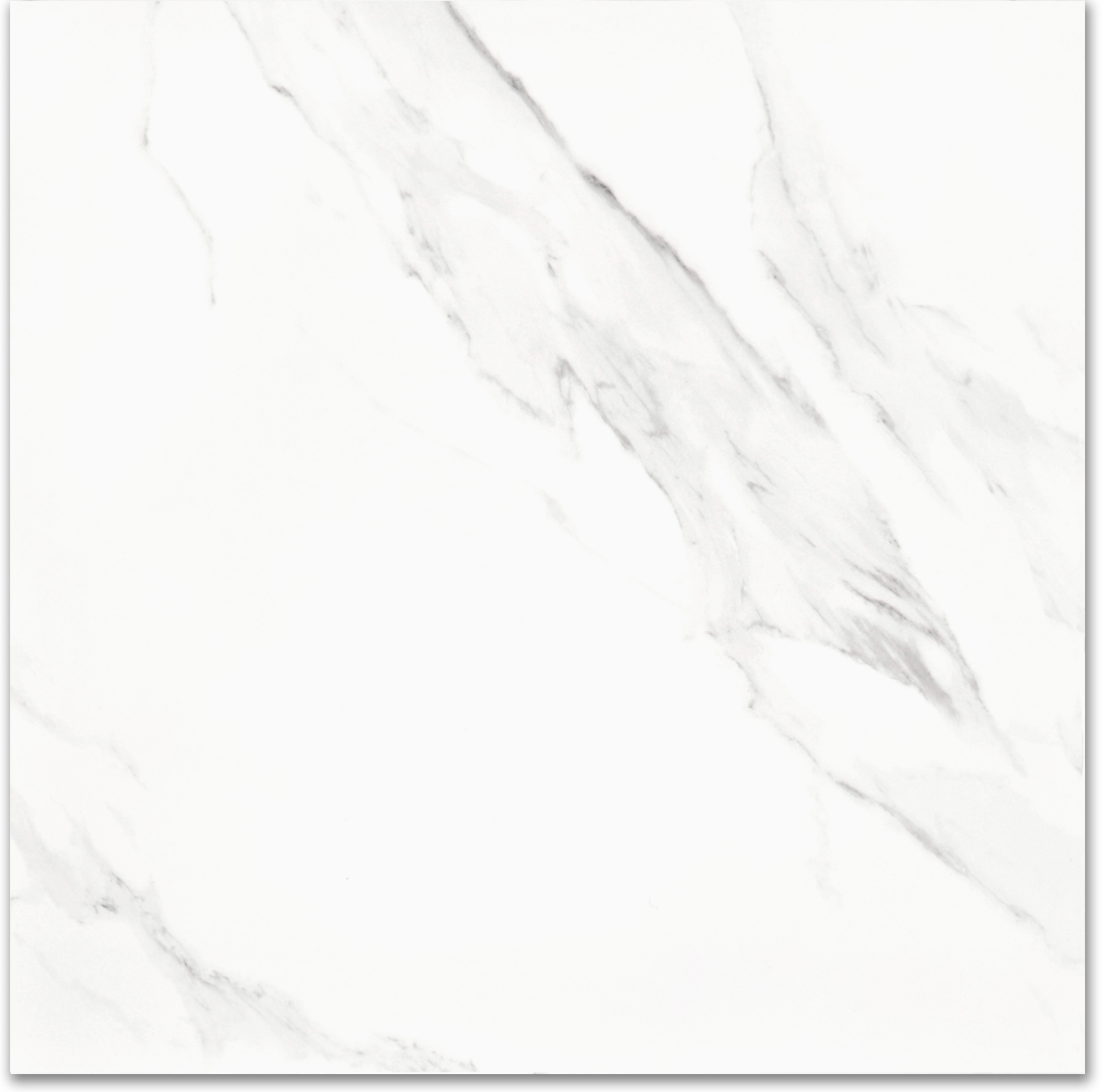 Treasure Statuario 24x24 Polished | Clon Digital Tile Catalog
