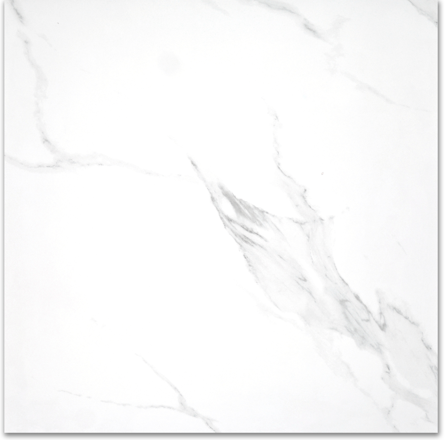 Treasure Statuario 24x24 Polished | Clon Digital Tile Catalog