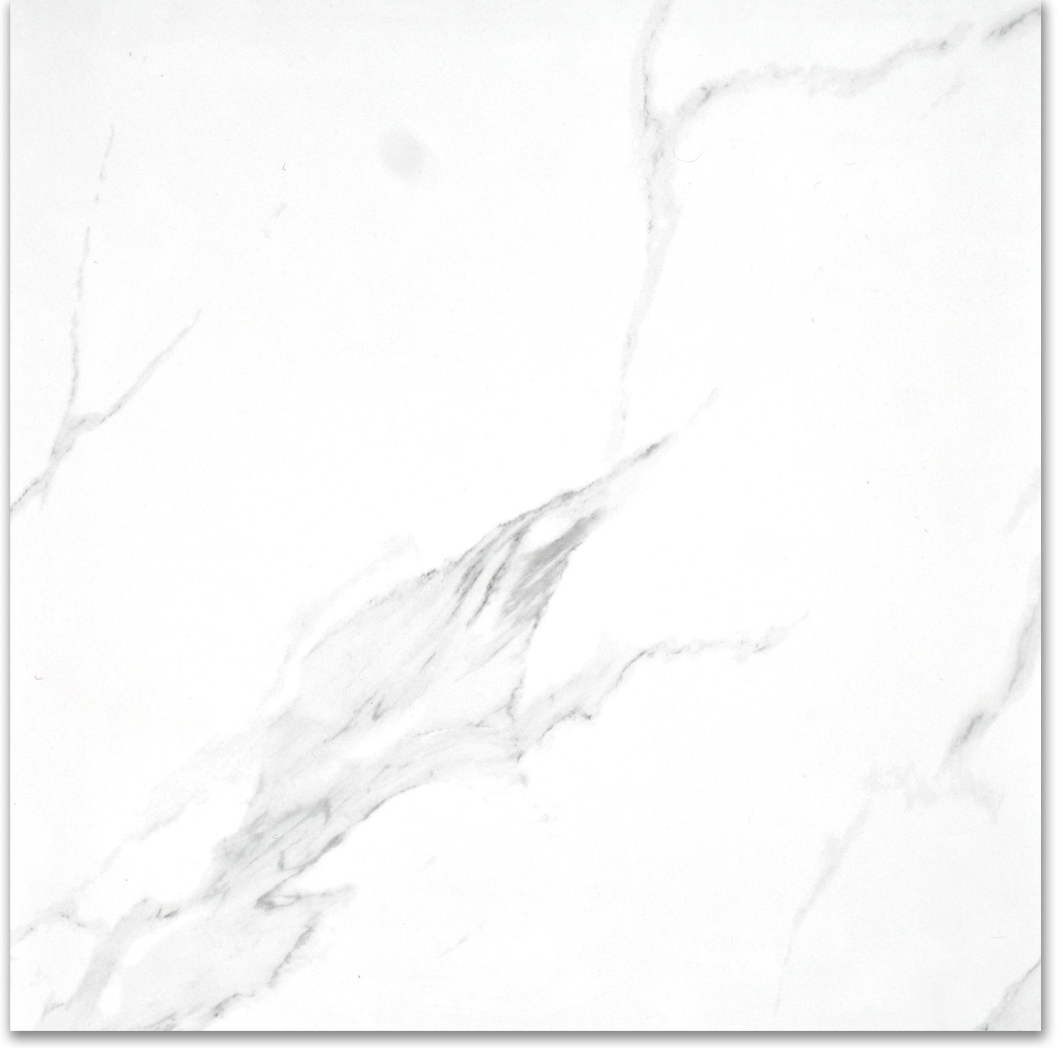 Treasure Statuario 24x24 Polished | Clon Digital Tile Catalog