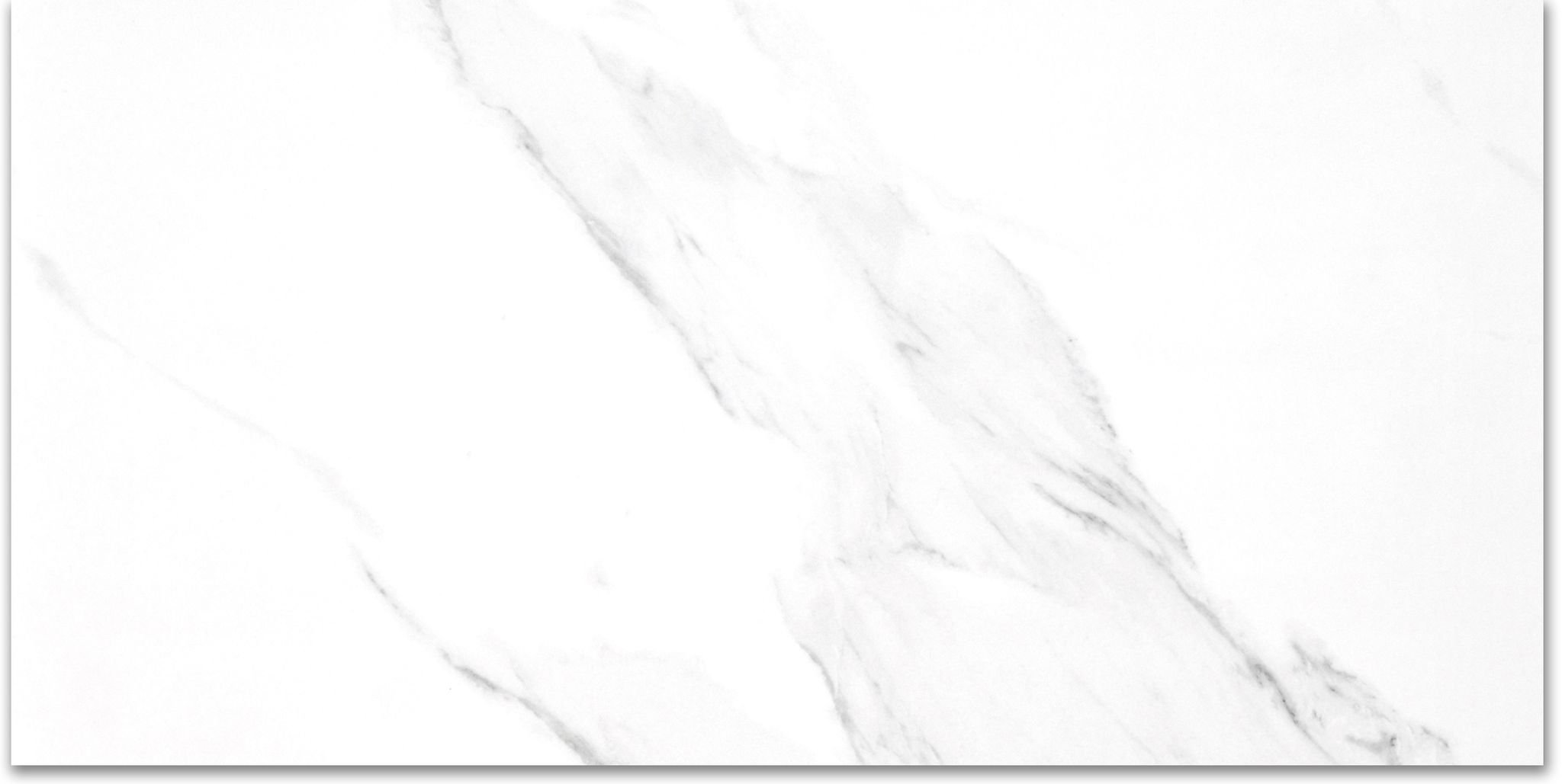 Treasure Statuario 24x48 Polished | Clon Digital Tile Catalog