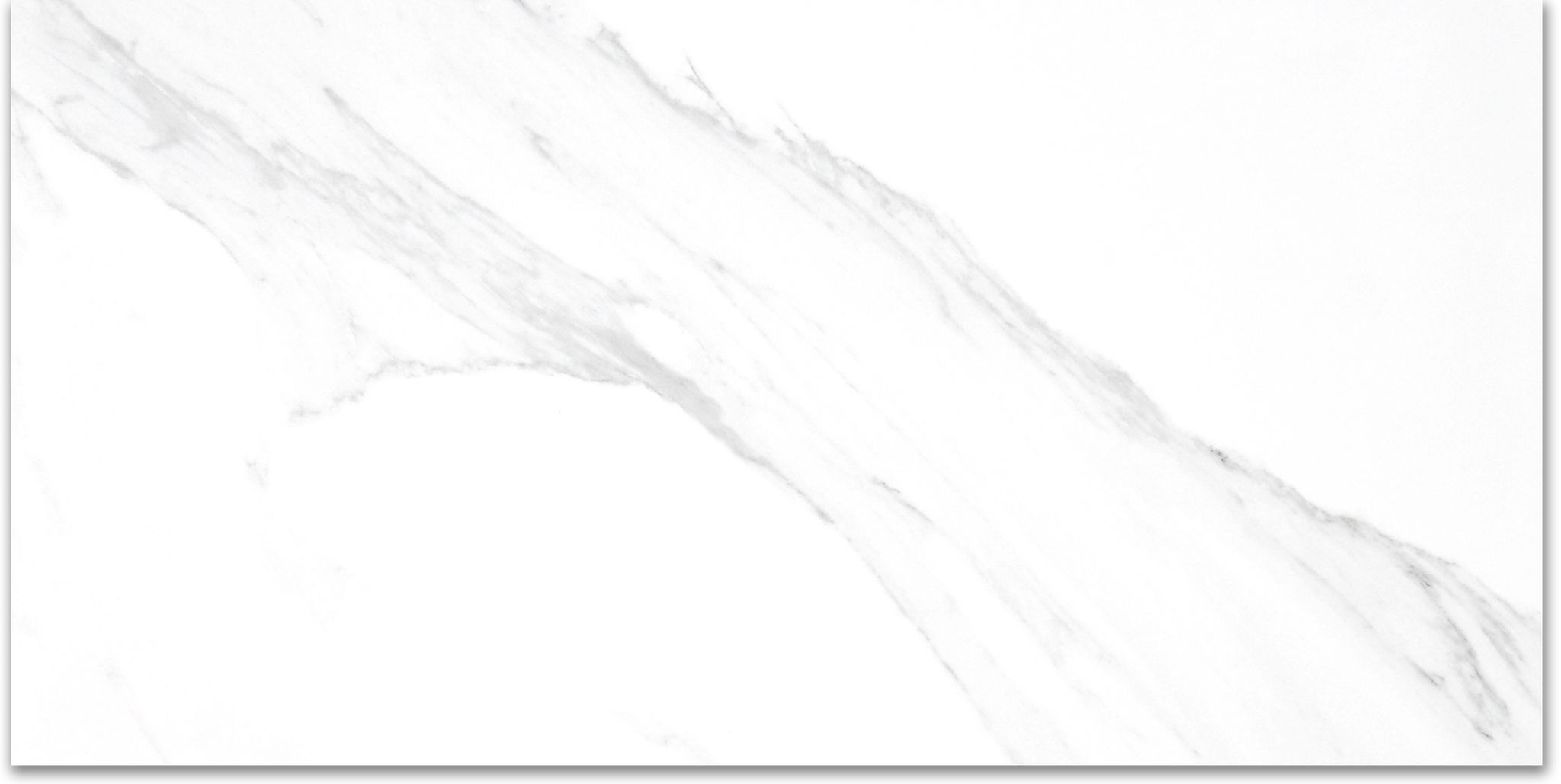 Treasure Statuario 24x48 Polished | Clon Digital Tile Catalog