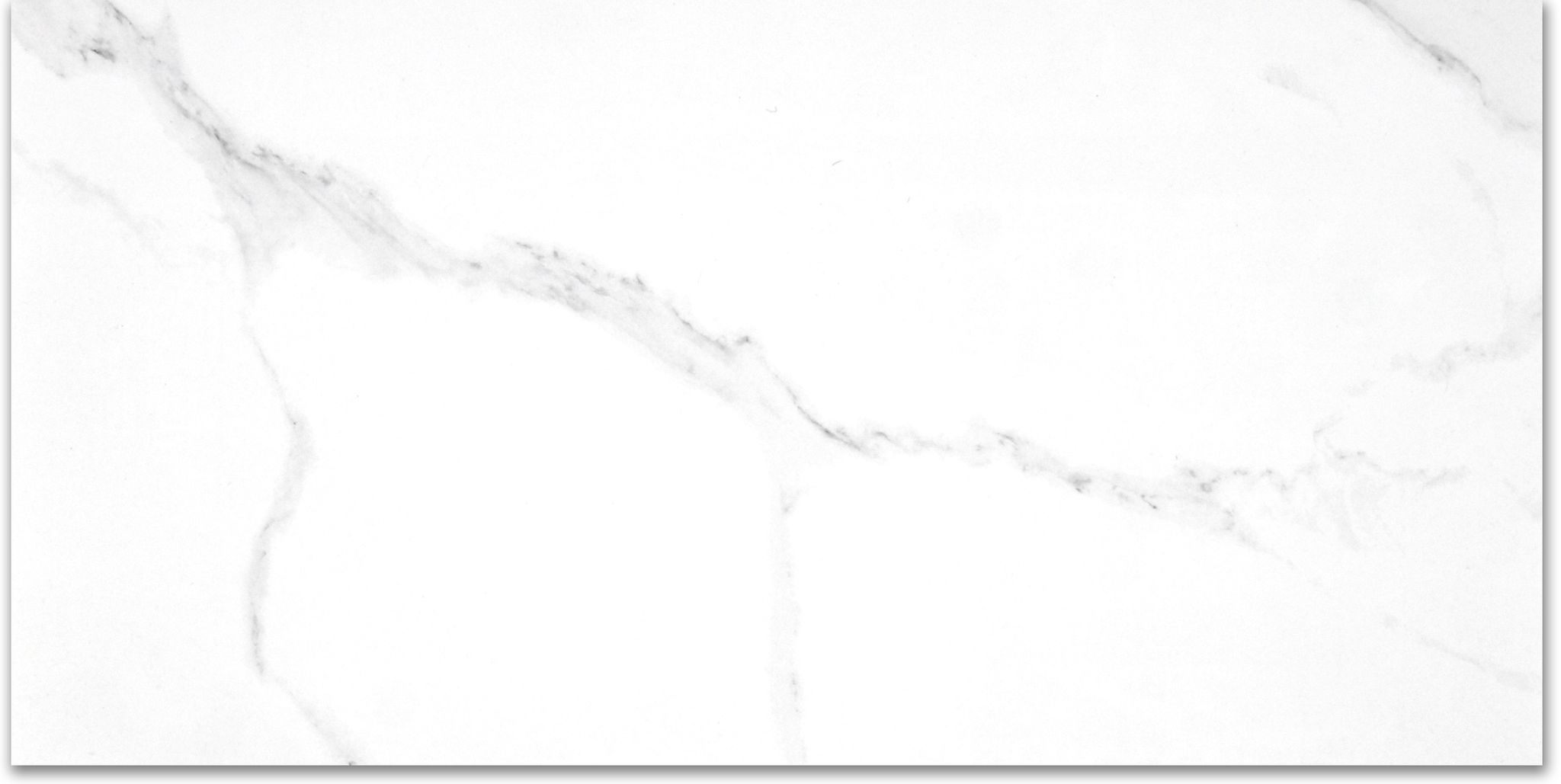 Treasure Statuario 24x48 Polished | Clon Digital Tile Catalog