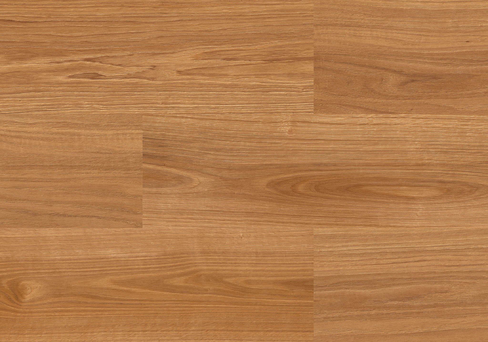 American Red Oak | Clon Digital Tile Catalog