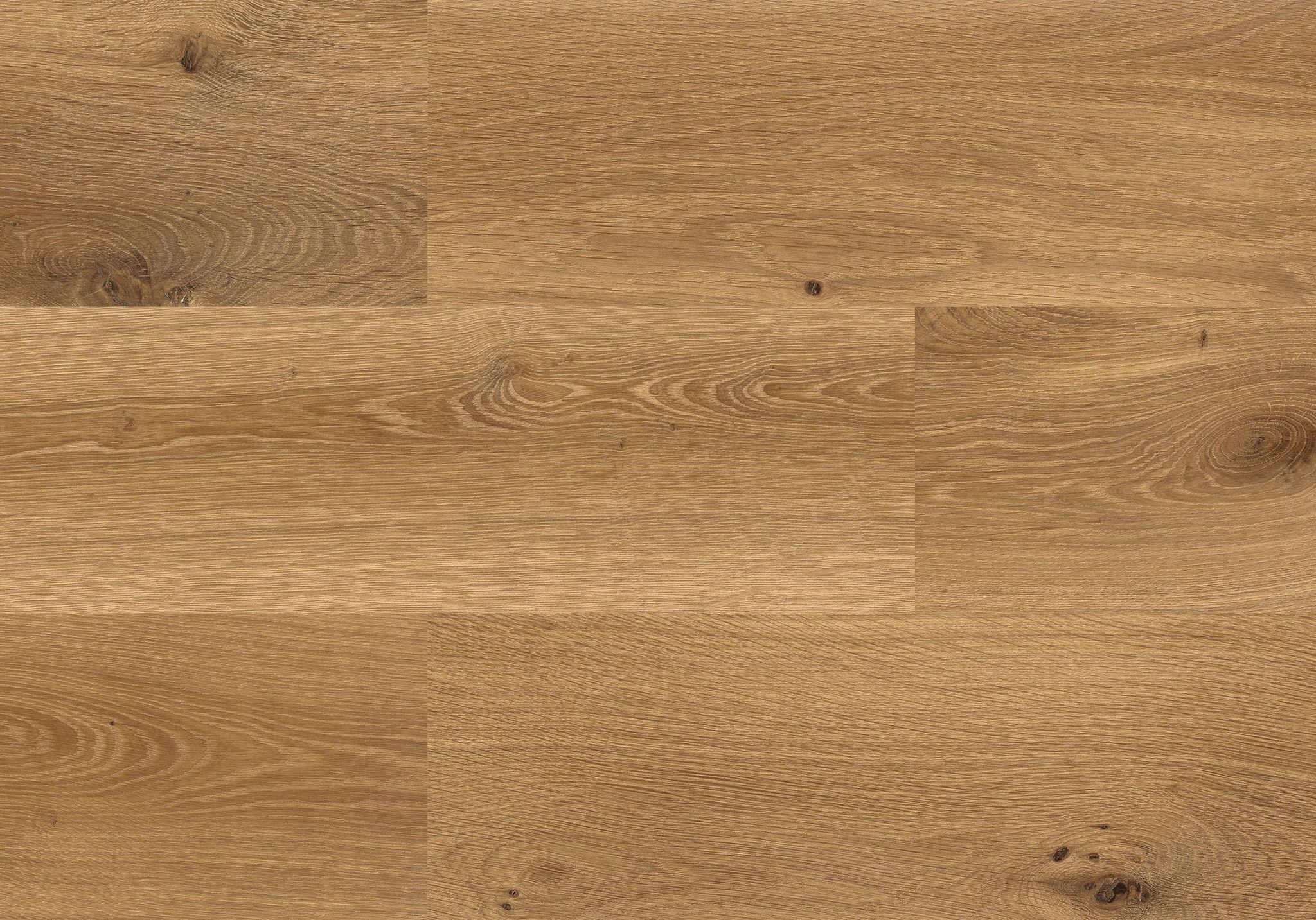Kaya Oak Wellington | Clon Digital Tile Catalog