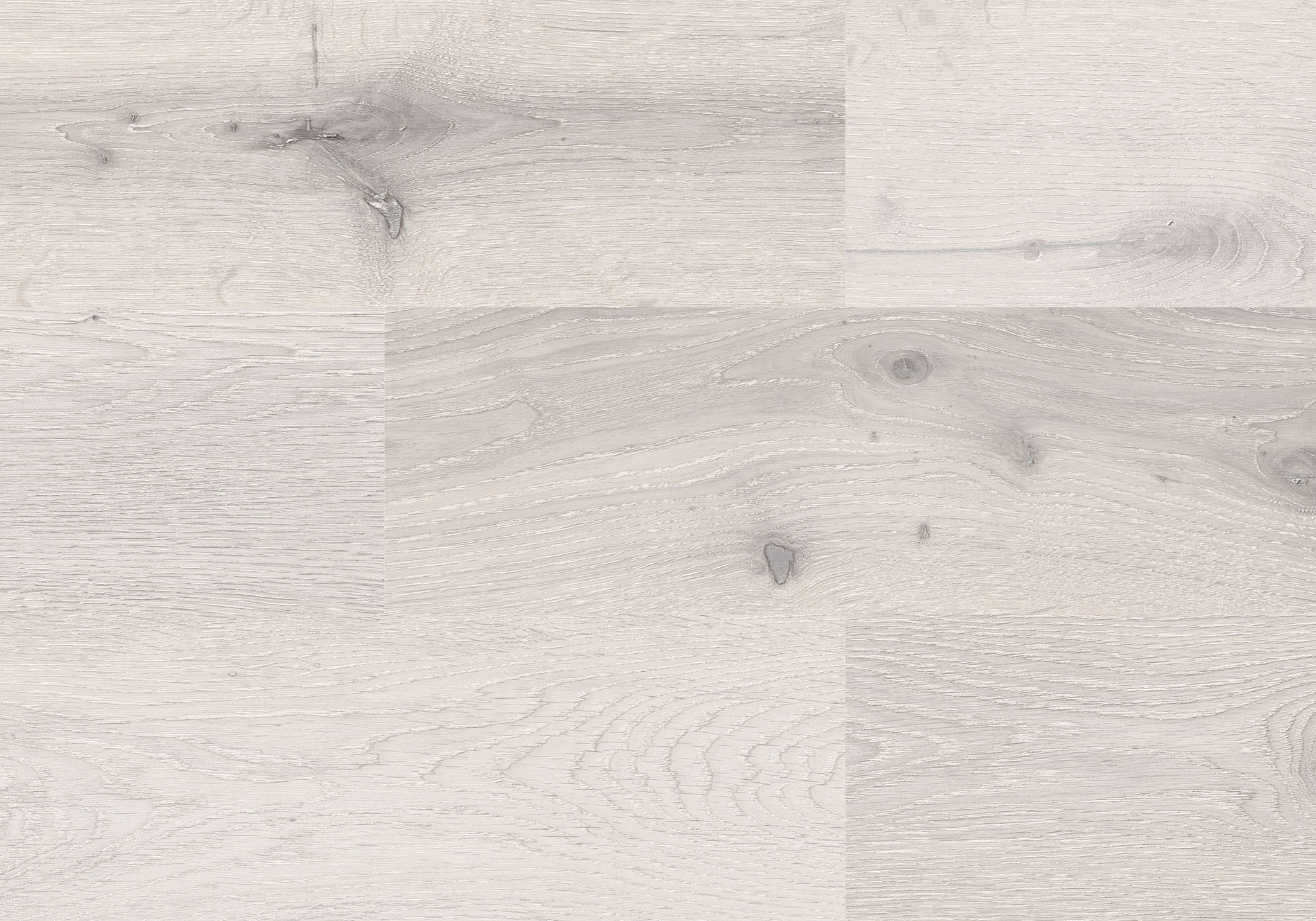 Northern Oak White | Clon Digital Tile Catalog