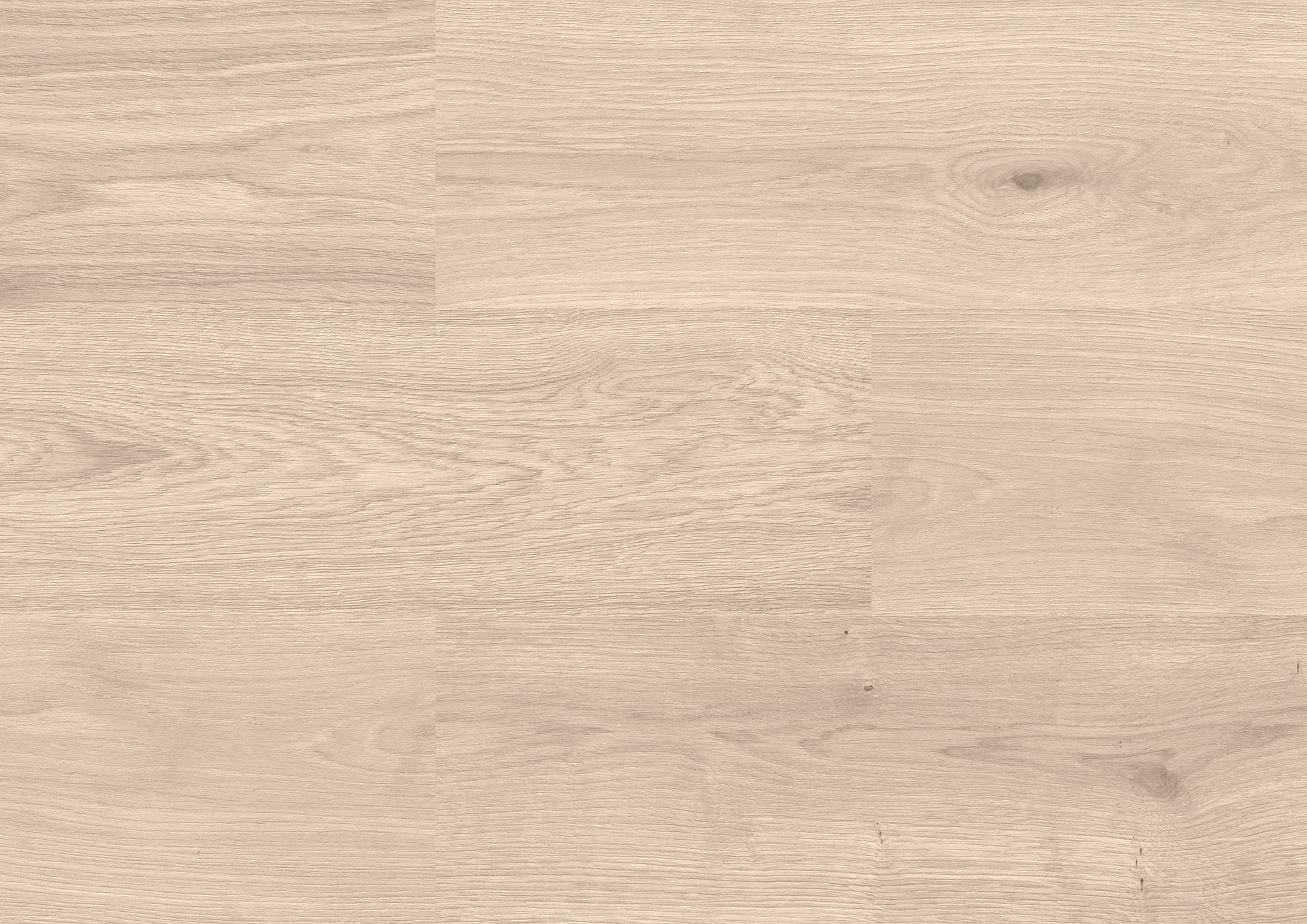 Timber White | Clon Digital Tile Catalog