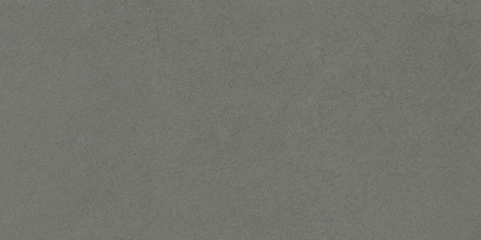 Concord 12X24F Umber Matte | Clon Digital Tile Catalog