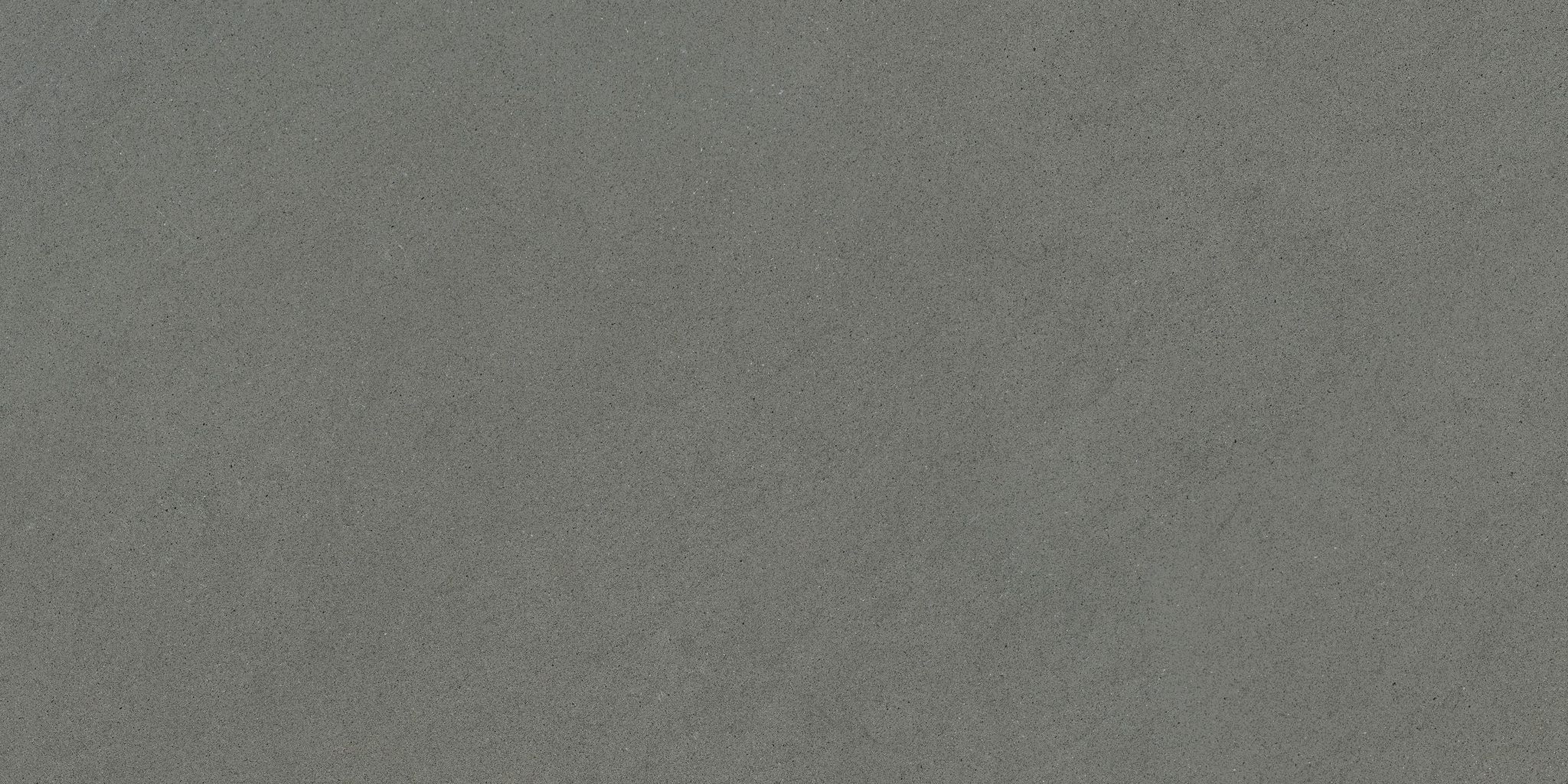 Concord 12X24F Umber Matte | Clon Digital Tile Catalog