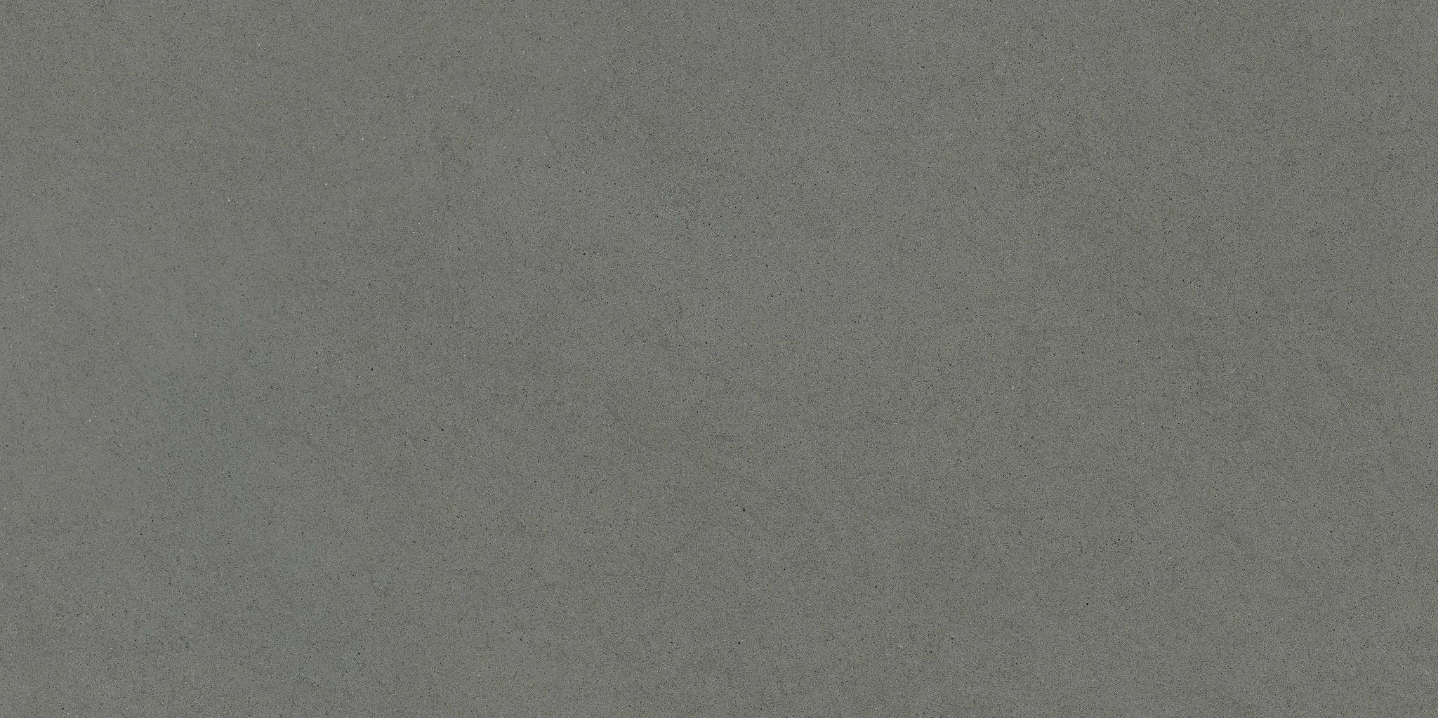 Concord 12X24F Umber Matte | Clon Digital Tile Catalog