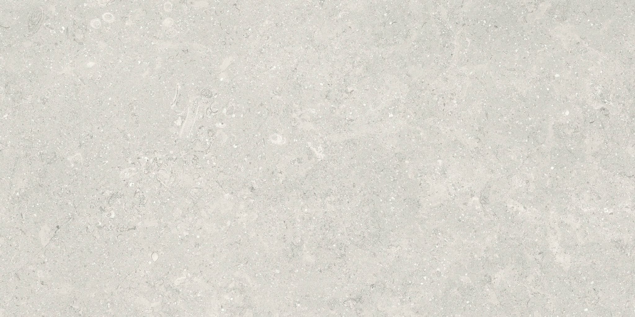 Denver 12X24F Desert Matte | Clon Digital Tile Catalog