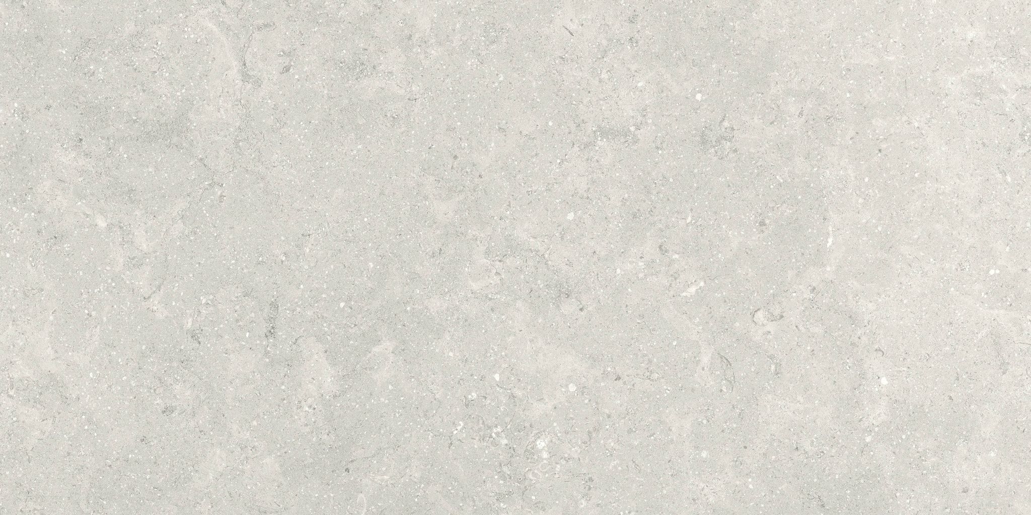 Denver 12X24F Desert Matte | Clon Digital Tile Catalog