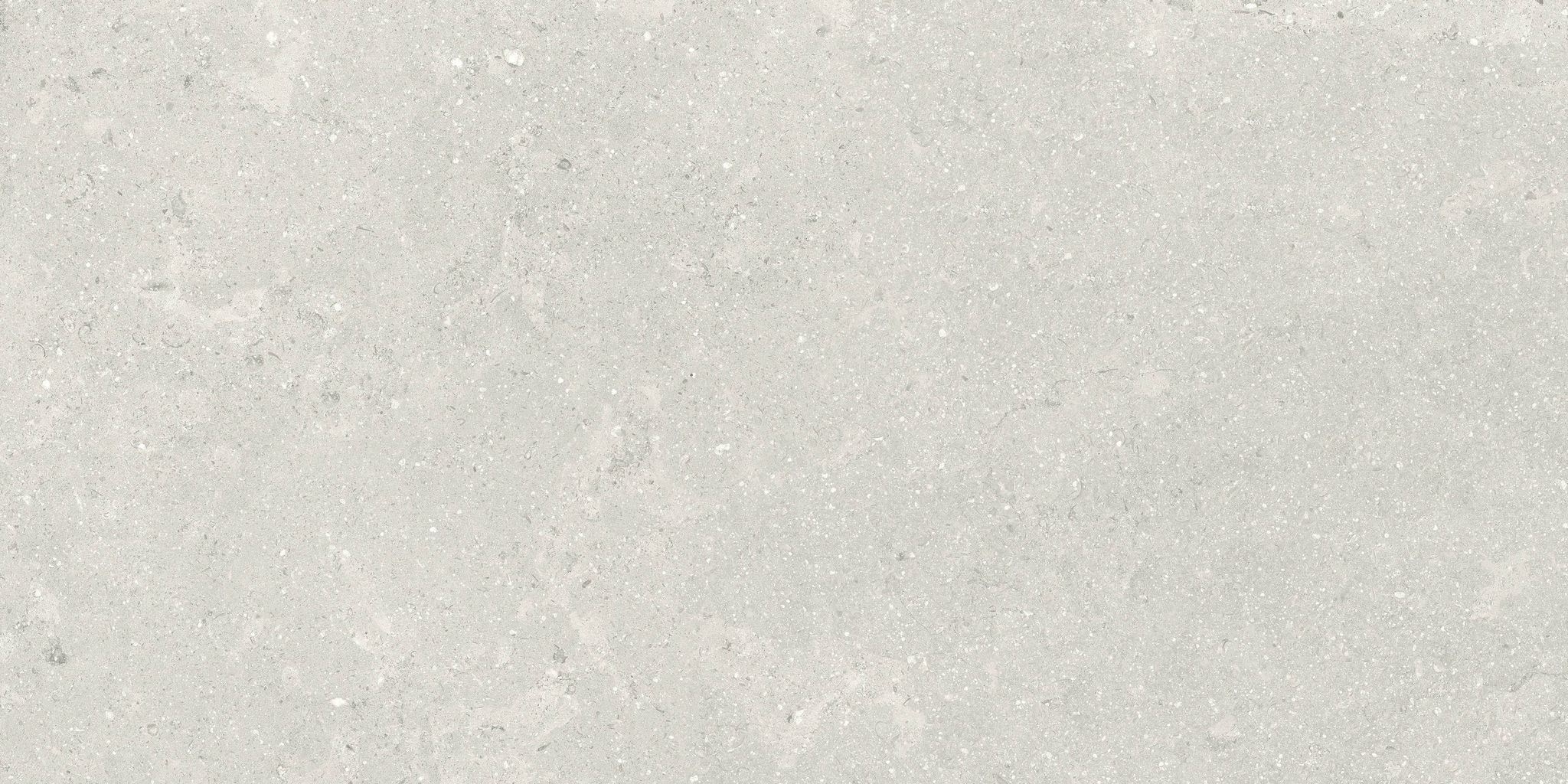 Denver 12X24F Desert Matte | Clon Digital Tile Catalog