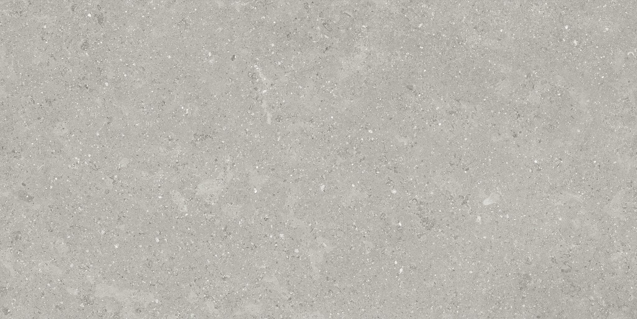 Denver 12X24F Graphite Matte | Clon Digital Tile Catalog