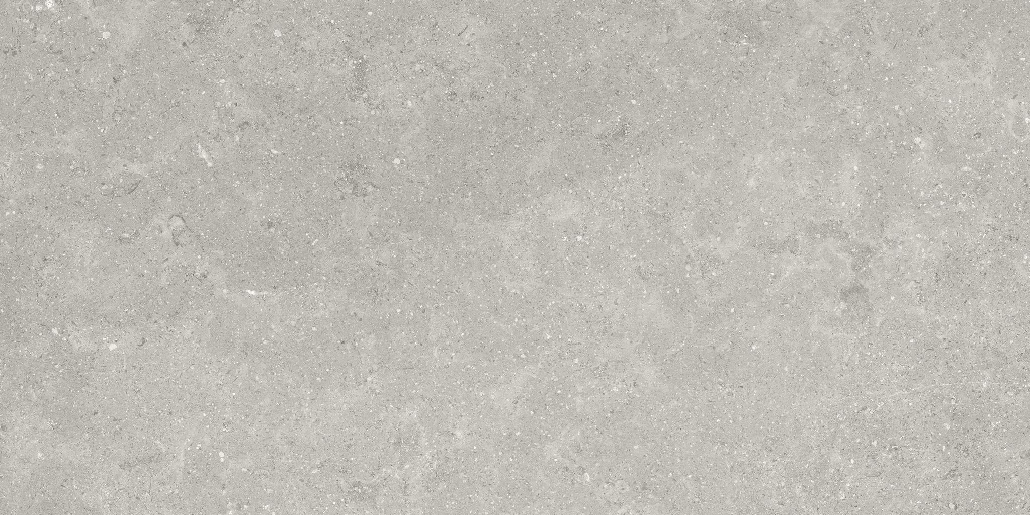 Denver 12X24F Graphite Matte | Clon Digital Tile Catalog