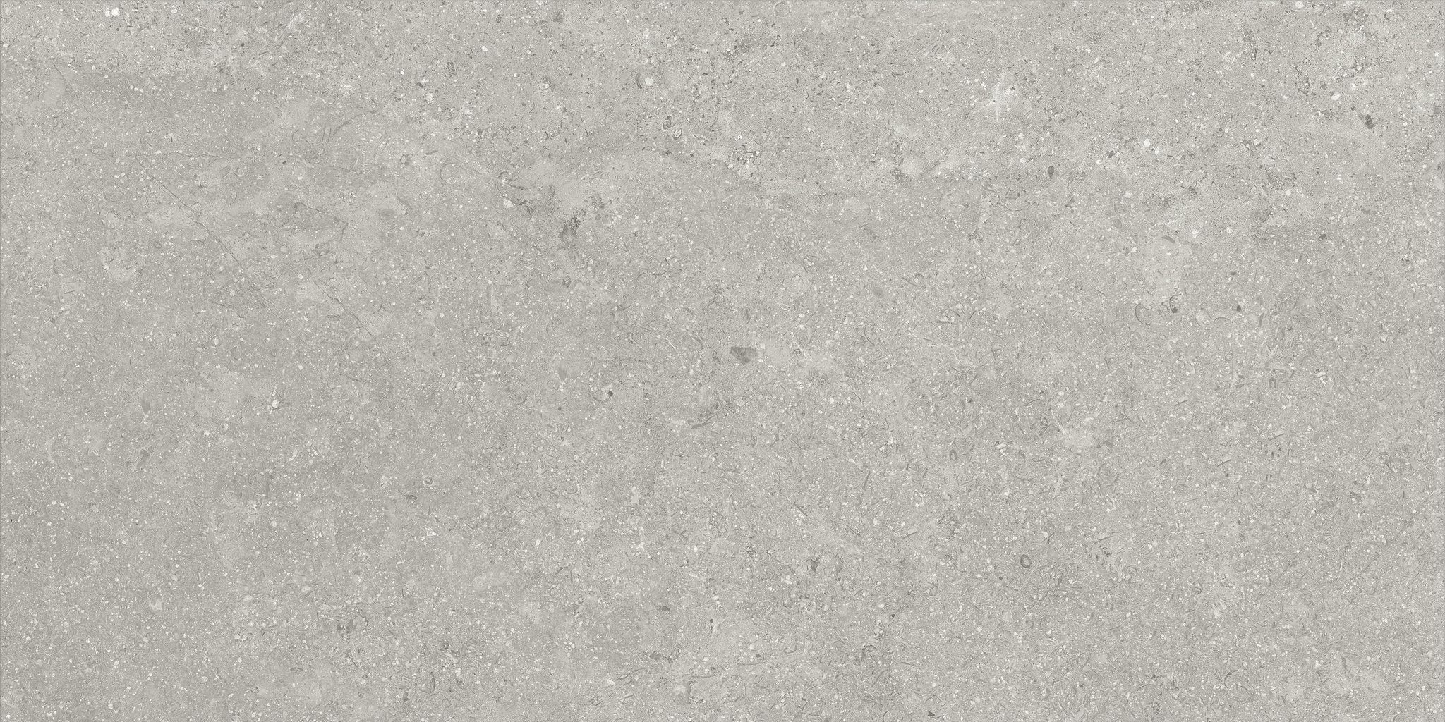 Denver 12X24F Graphite Matte | Clon Digital Tile Catalog