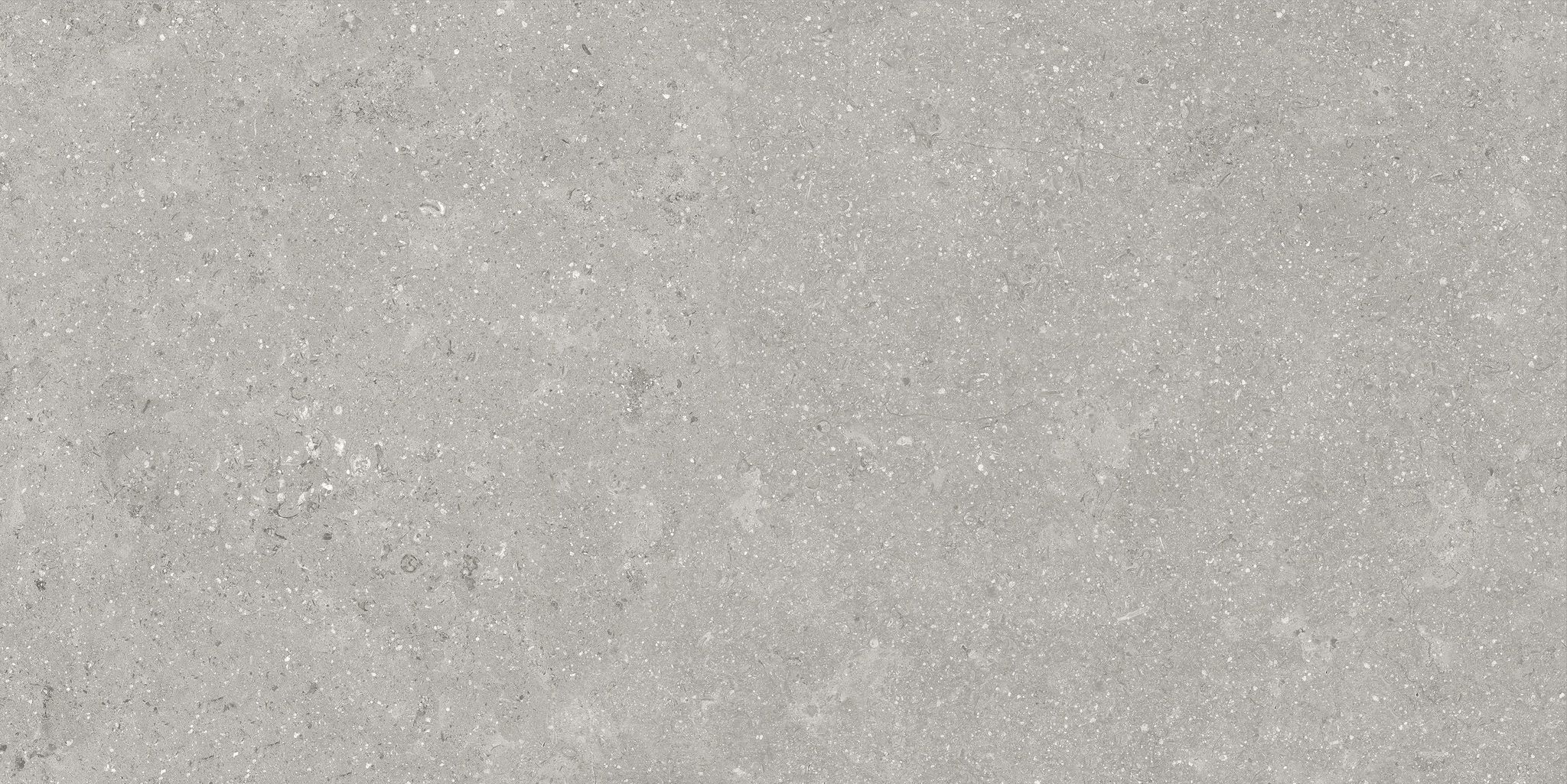 Denver 12X24F Graphite Matte | Clon Digital Tile Catalog