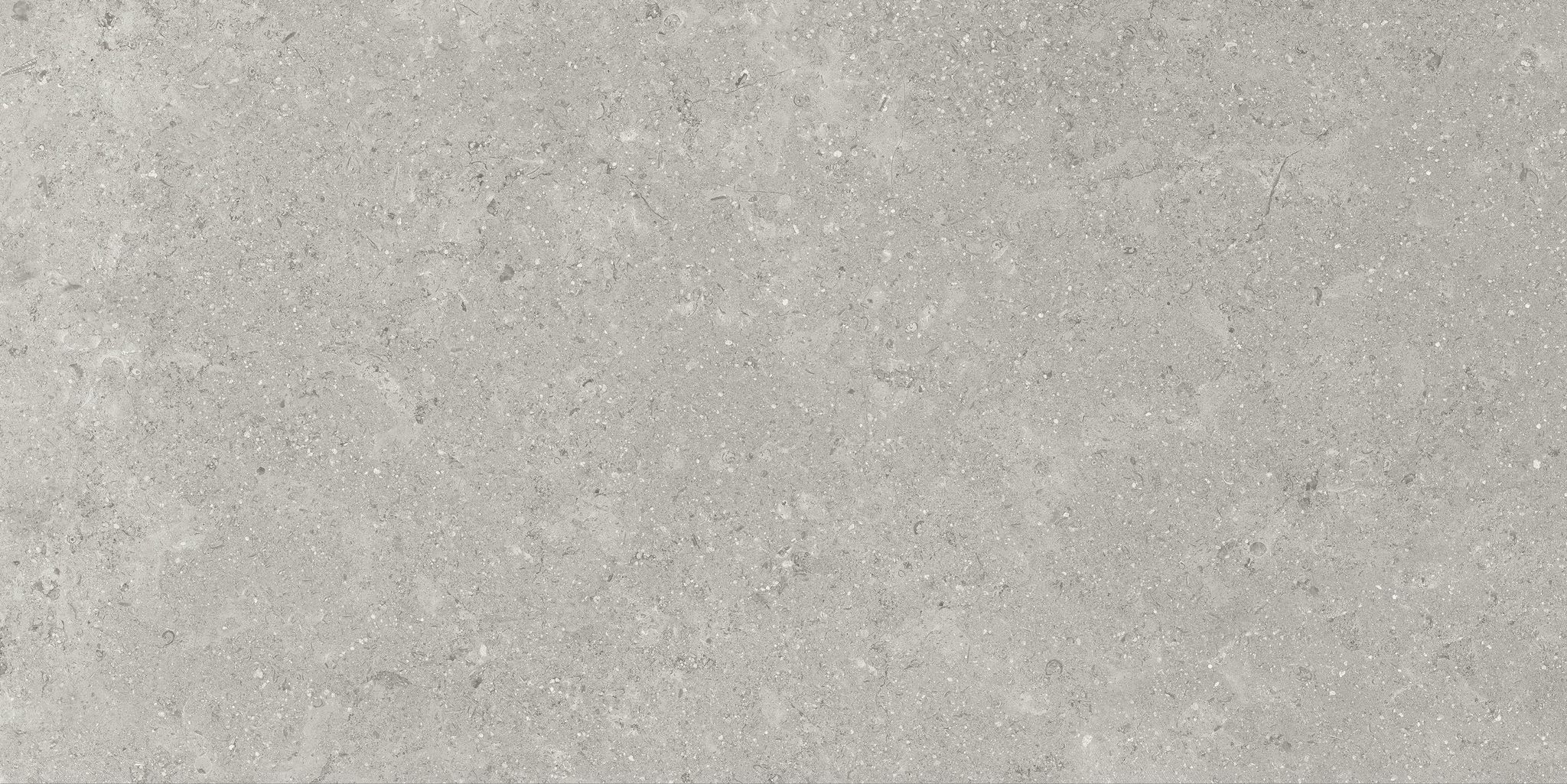 Denver 12X24F Graphite Matte | Clon Digital Tile Catalog