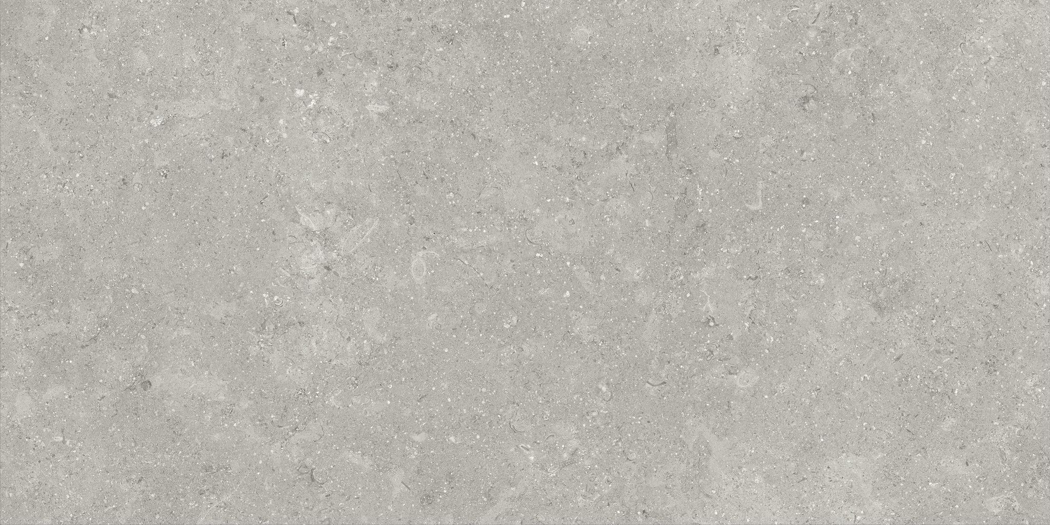 Denver 12X24F Graphite Matte | Clon Digital Tile Catalog