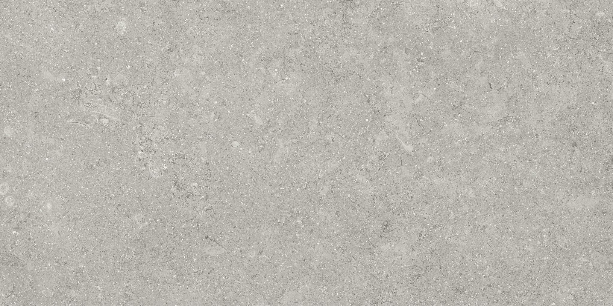 Denver 12X24F Graphite Matte | Clon Digital Tile Catalog