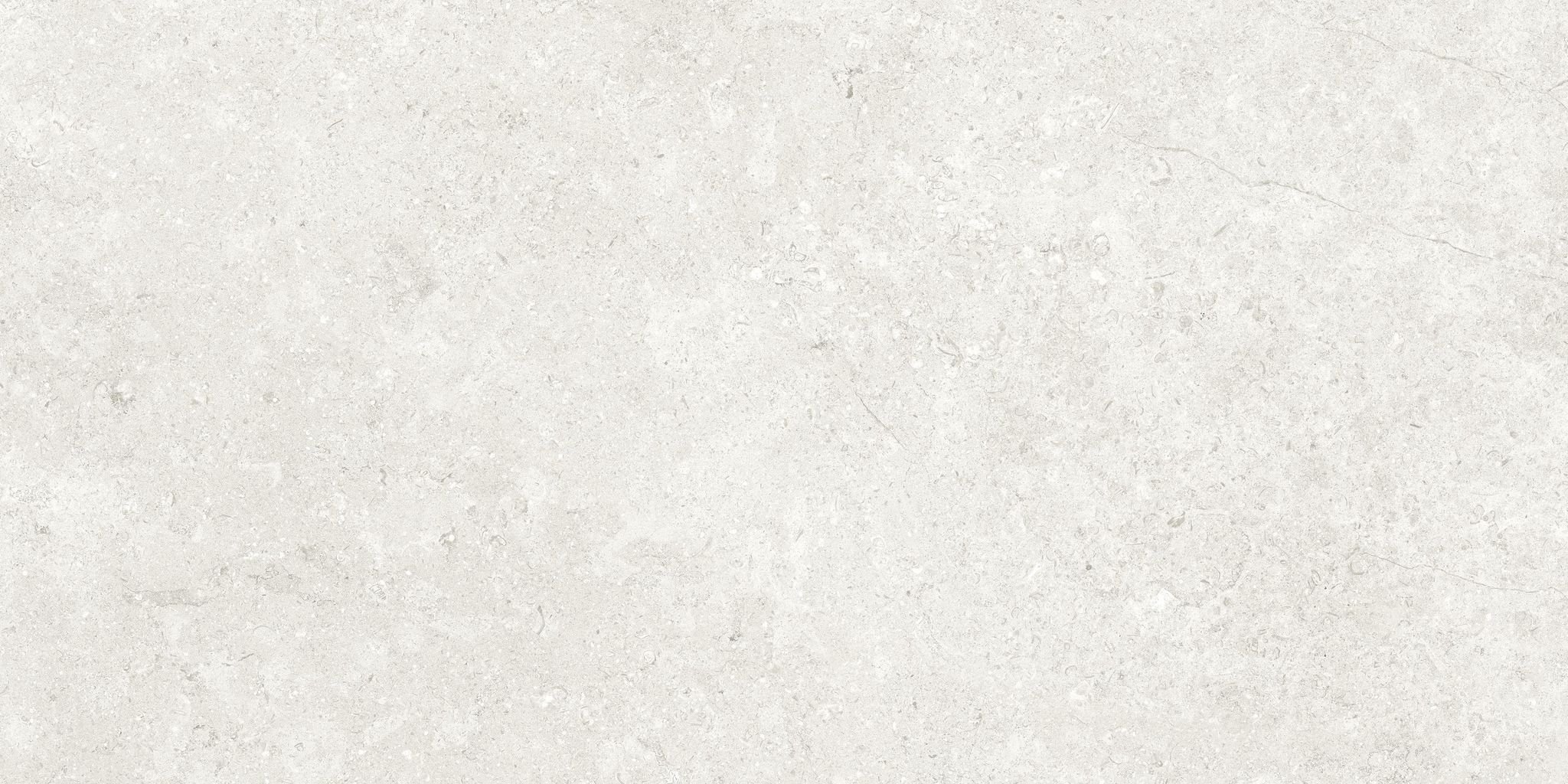 Denver 12X24F Pearl Matte | Clon Digital Tile Catalog