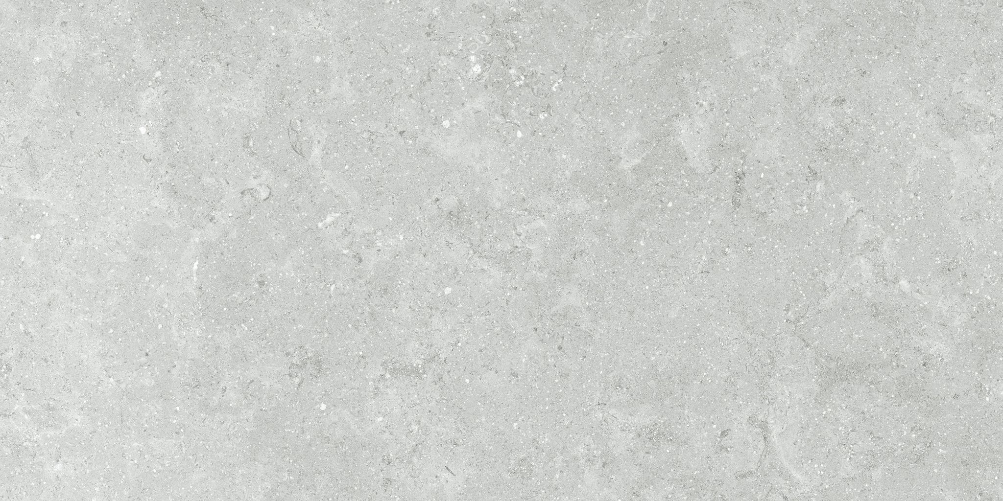 Denver 12X24F Platinum Matte | Clon Digital Tile Catalog