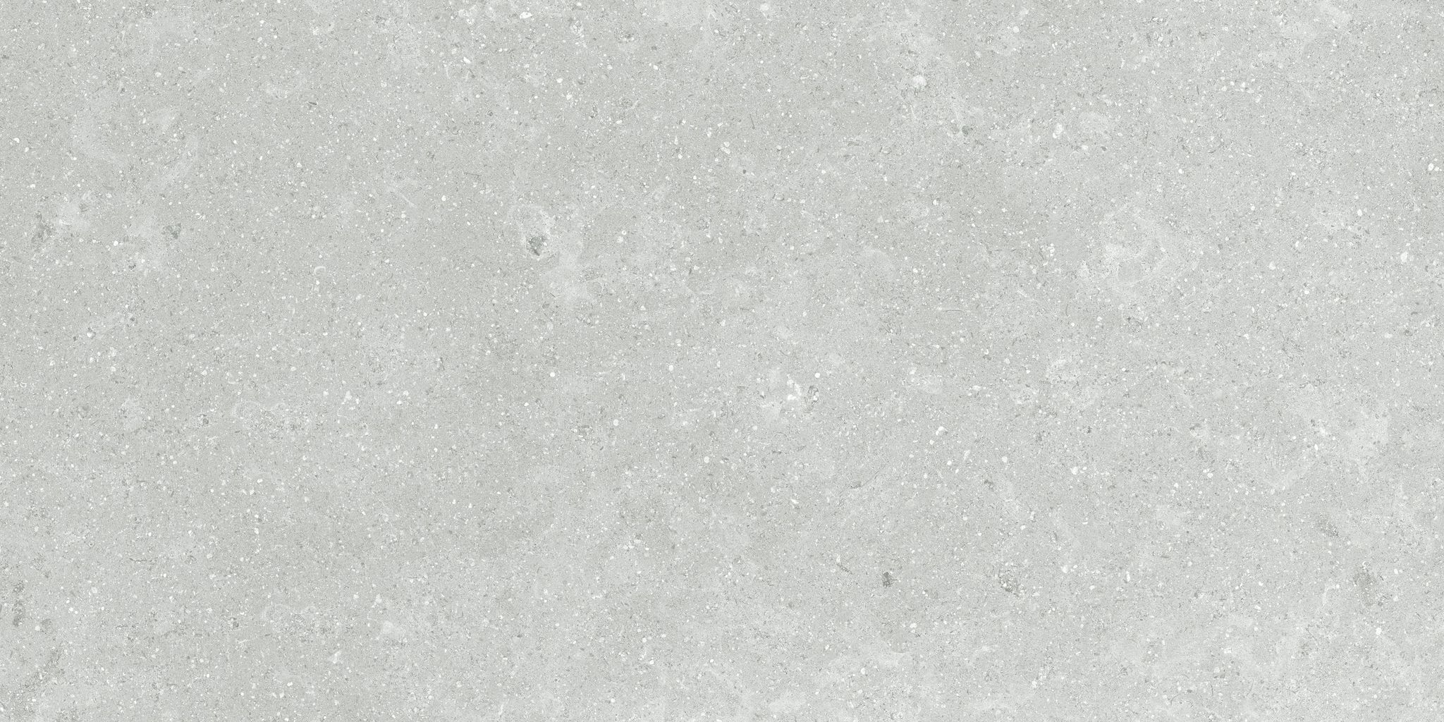 Denver 12X24F Platinum Matte | Clon Digital Tile Catalog