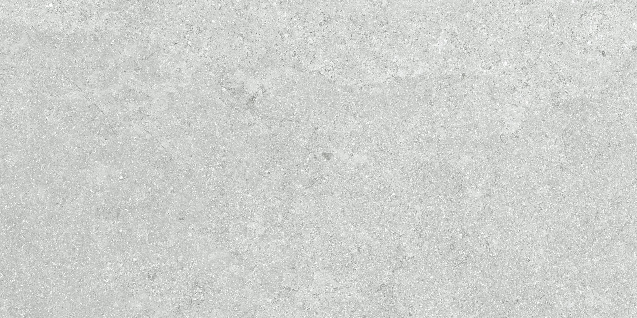 Denver 12X24F Platinum Matte | Clon Digital Tile Catalog
