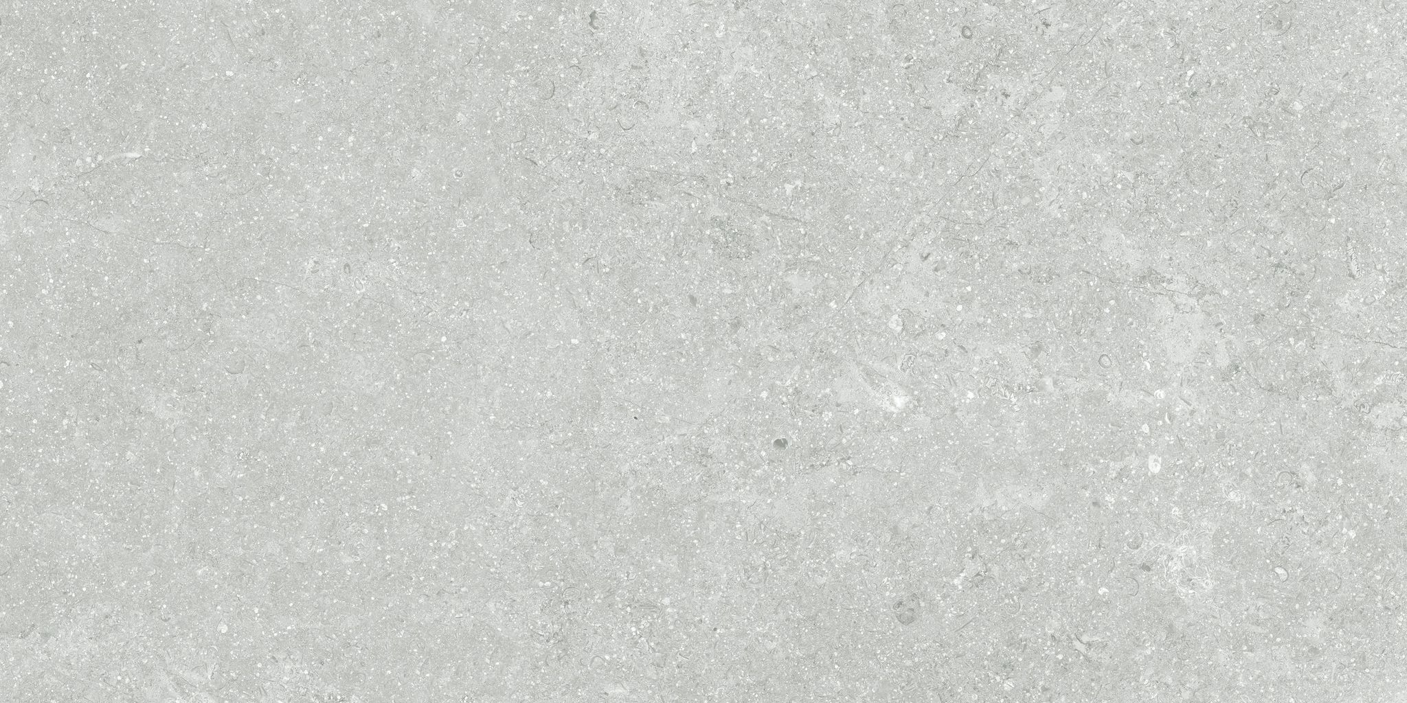 Denver 12X24F Platinum Matte | Clon Digital Tile Catalog